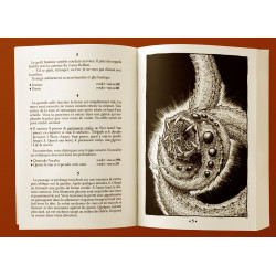 Le Royaume de la discorde - Les Chroniques d'Hamalron Tome 1