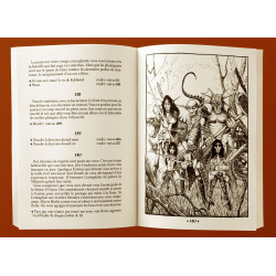 Le Royaume de la discorde - Les Chroniques d'Hamalron Tome 1