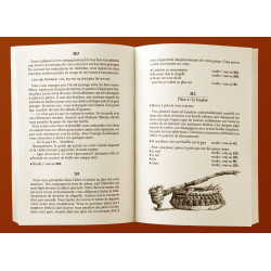 Le Sire aux tristes couleurs - Les Chroniques d'Hamalron Tome 3