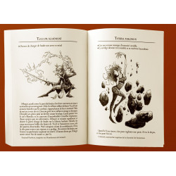 Le Sire aux tristes couleurs - Les Chroniques d'Hamalron Tome 3