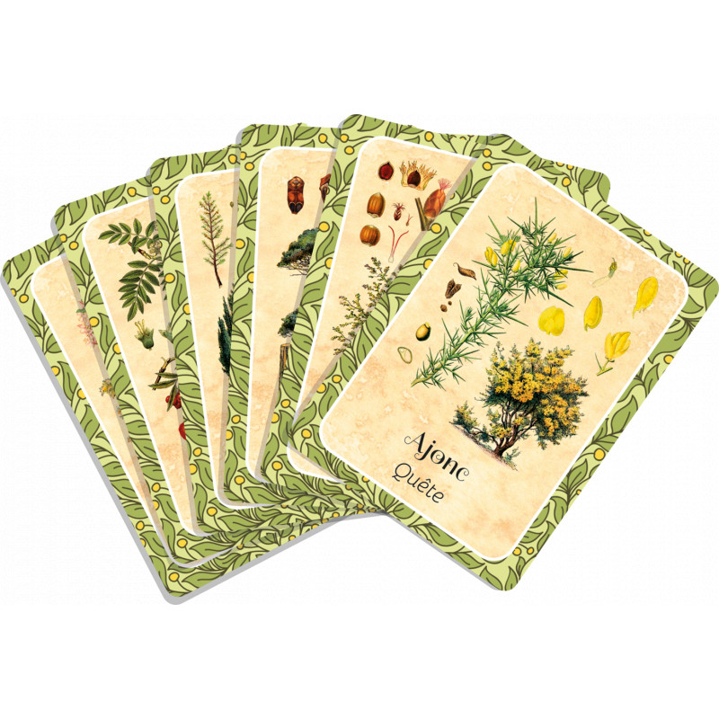 Les cernes du temps - Oracle